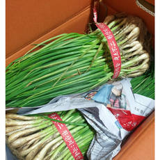 흙쪽파 한단 제주도 전남 보성 국내산, 3개, 1kg