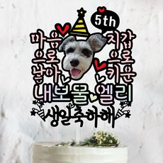 써봄토퍼 [써봄토퍼] 마음으로낳아 지갑으로키운 강아지 생일파티 반려견 반려묘 케이크토퍼, 생일축하해, 1개