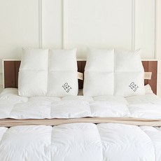 소프라움구스세일