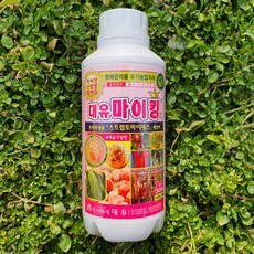 사과탄저병