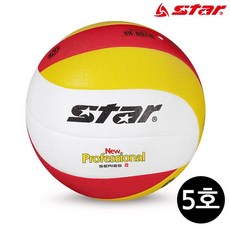용품 배구공 뉴프로페셔널2 5호 VB315S-34 운동 스포츠 스타