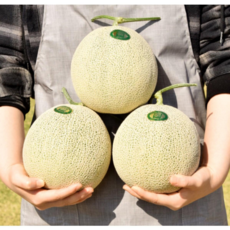 고당도 머스크 메론 가정용 선물세트, 1박스, 4kg