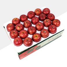 [명품농원] 당도선별 문경 사과 5kg 선물세트, 1박스, 07. 명품농원 중소과 5kg(22~23과)-선물용