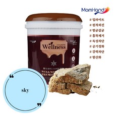 일라이트페인트