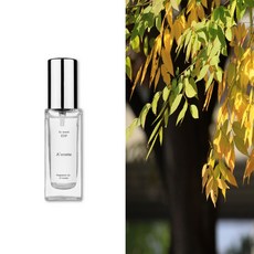 딥디크 롬브로단로 type 30 60 100, 롬브로단로 100ml