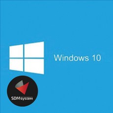 windows 10 pro (GGWA 윈도우 5개 이상 구매), 단일상품