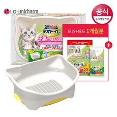 데오토일렛와이드형