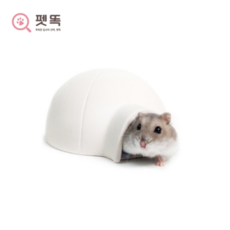 어린이이글루