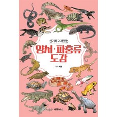 파충류책