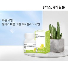 그린 프로폴리스 아연 브라질산 면역 이뮨 브라질 100% img 경질 캡슐 비 프리미엄 여성 남성 어린이 청소년 면역력 항산화 효능 추천 이산화규소 화학부형제 없는 무첨가 ncs, 3개, 60캡슐