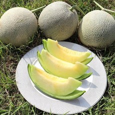 달콤한 과즙 부드러운 고당도 꿀 국내산 머스크메론 8kg 3수, 달콤한 과즙 부드러운 고당도 꿀 국내산 머스크메론 8k, 2개