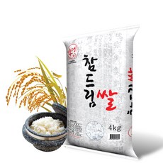 쌀통령 2020 참드림쌀 4kg, 1포