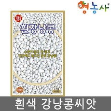 흰강낭콩씨앗 100립, KS흰강낭콩, KS흰강낭콩