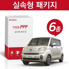 스코코 더 뉴 레이 2019 실속형 PPF 패키지 6종, 더뉴레이 2019:실속형 무광 - 레이ppf