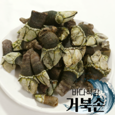 거북손생물