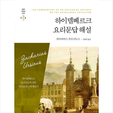 하이델베르크요리문답