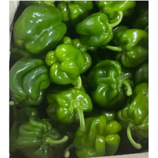 피망 청피망 [원산지:국산], 1박스, 1kg