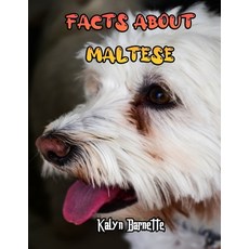 Facts about Maltese: MALTESE fact for girl age 1-10 MALTESE fact for boy age 1-10 maltese information Paperback, Independently Published, English, 9798556936799