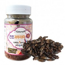 [MG내추럴] 국산 건조귀뚜라미 15g, 1개
