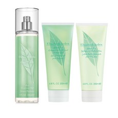 엘리자베스아덴그린티3종