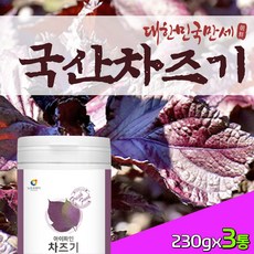 자두말린것