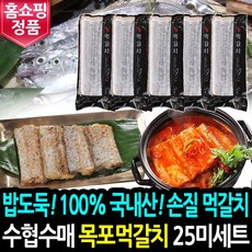 생선구이가정용기계