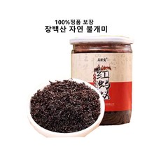 불개미