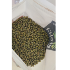 [국내산] 고창 *농장직송 국산 녹두, 1개, 1kg