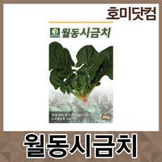 호미닷컴 월동 시금치 20g 채소 김장 씨앗