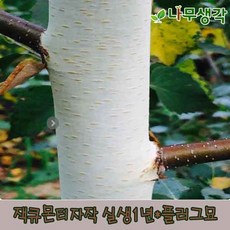 ae3fb73e1a819b67888bfe189a4438b00c686ed704fd183f03954b85db14.jpg