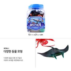 해양생물도감