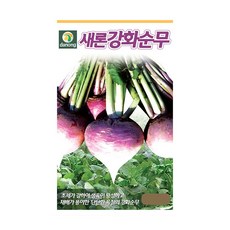 갑조네 뿌리 채소류 씨앗 모음, 새론강화순무(씨앗), 1개