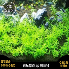 02e67bd2917a579ba946a31d6b98b501302c502be7a3b8690a5bb2f7d9c4.png