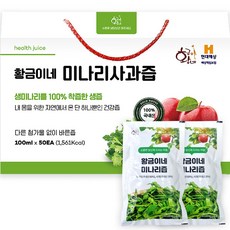 평양과베네치아