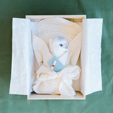 반려동물 셀프 장례 용품 - 자연소재 광목수의 오동나무관 - 국내최초 셀프장례 패키지 - 합리적인 가격, 1세트