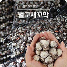 살이 꽉차 더욱 쫄깃한 제철 벌교 새꼬막 크기별 2KG 3KG 세척꼬막 산지직송, 1개