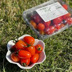 스위프리샤인마토