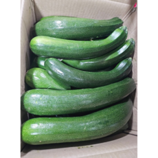 국내산 쥬키니 호박 못난이 가정용 주키니 호박, 1박스, 5kg(못난이 상등급)