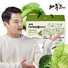 추천7브로콜리효능