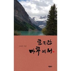로키소설