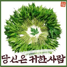 [하랑하제] GAP 당귀잎 100g 220g 500g 1kg 쌈채소 장아찌 (산지직송/당일배송), 영양만점 당귀 220g