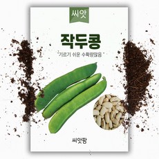 중국은말과문자가같은곳