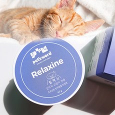 펫츠워드 반려동물 릴랙신 영양제 60g, 상세 설명 참조, 스트레스완화/안정/집중력관리, 1개