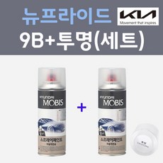 ypt9b사용법