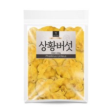 퓨어영 상황버섯 250g 국내산