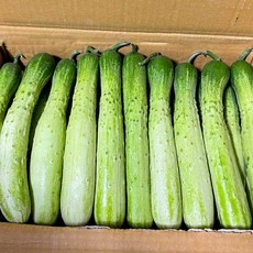 다다기오이박스