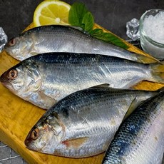 국내산 서해 냉동 급랭 구이용 가을 전어2kg [2kg 기준 26미 내외 (24~28미 내외)] 손질 자연산 신선배송, 1개