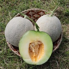 //상품명