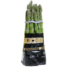 굵고 튼실한 생 아스파라거스 1Kg 5개 이강산닷컴