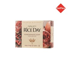 라이온 라이스데이 쌀비누(유) 100g, 단일상품